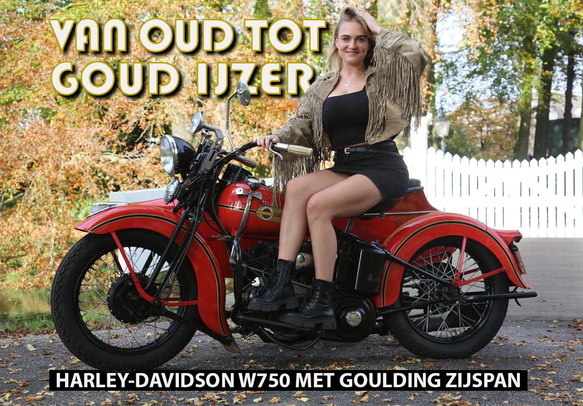 Harley-Davidson W 750
