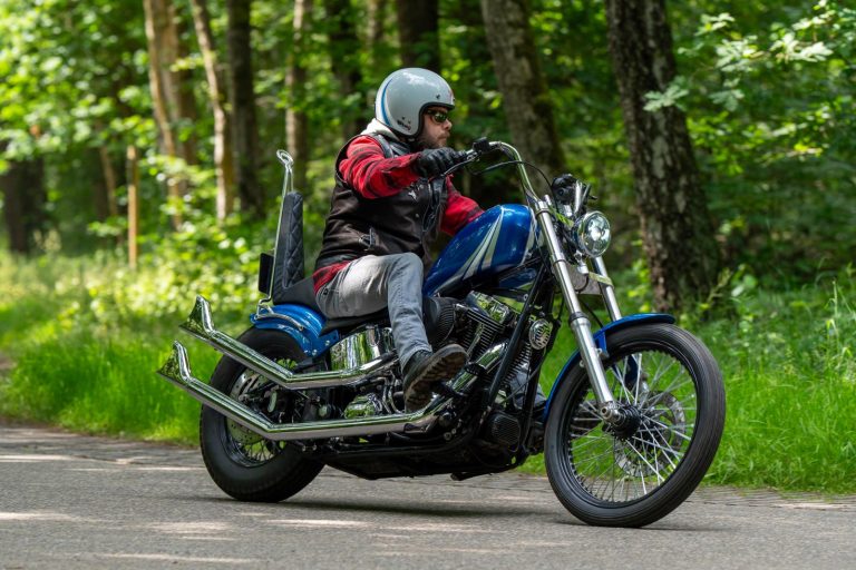Chuck’s Harley-Davidson: Blue Reaper
